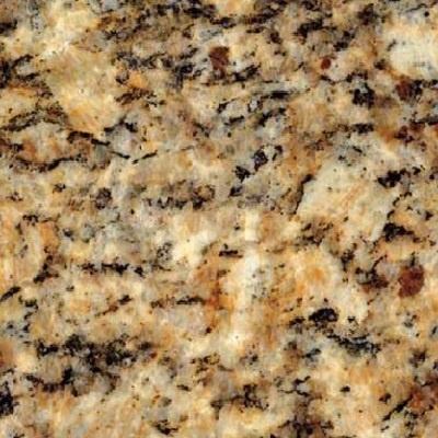 virtuemart/product/STACECILIA3